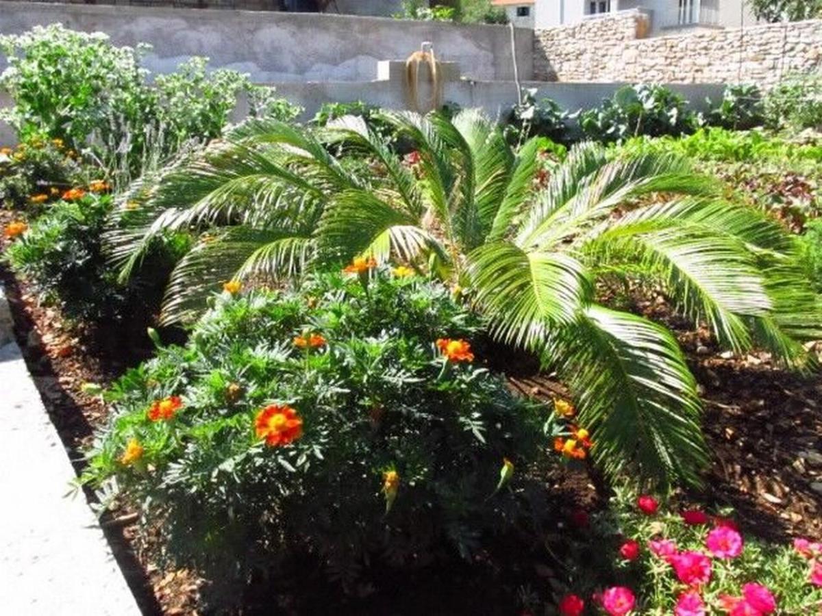 פוסטיר Apartments Jelka מראה חיצוני תמונה